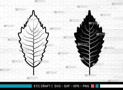 Oak Leaves Svg, Fall Leaves Svg, Leaves Svg, Oak Leaves Icon Svg, Leaf Svg, Oak Leaves SVG ETC Craft 