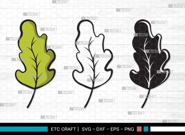 Oak Leaves SVG | Oak Leafs Svg | Fall Leaves Svg | Leaves Svg | Oak Leaves Clipart SVG ETC Craft 