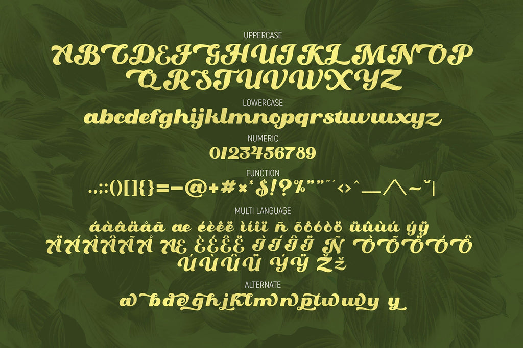 Oaklash - Retro Bold Script Font - So Fontsy