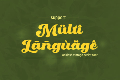 Oaklash - Retro Bold Script Font Font StringLabs 