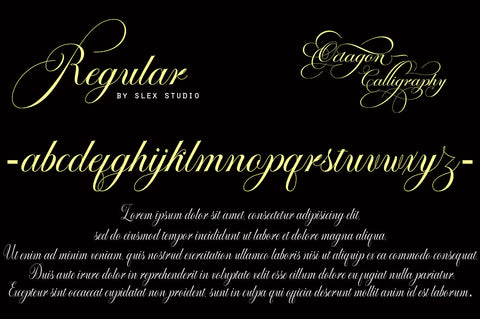 Octagon Calligraphy Font Slex Creative 