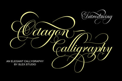 Octagon Calligraphy Font Slex Creative 