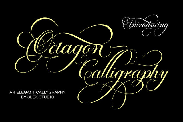Octagon Calligraphy Font Slex Creative 