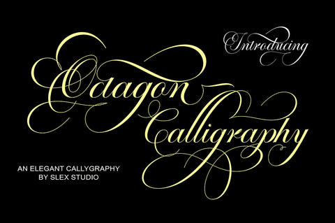 Octagon Calligraphy Font Slex Creative 