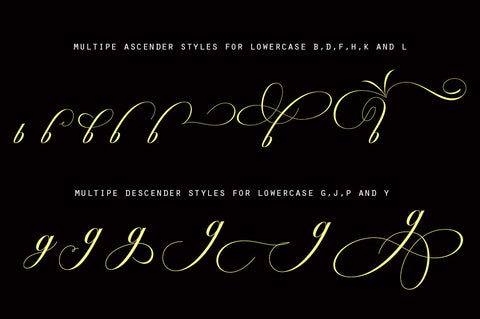 Octagon Calligraphy Font Slex Creative 