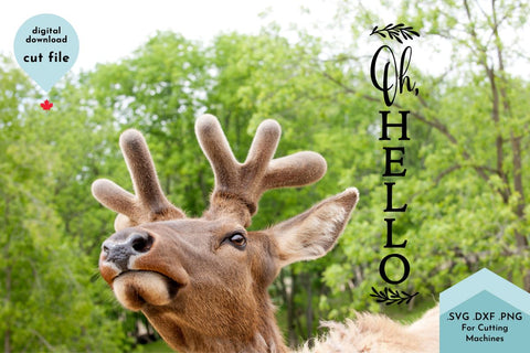 Oh Hello Vertical Porch SVG Cut File SVG Lettershapes 