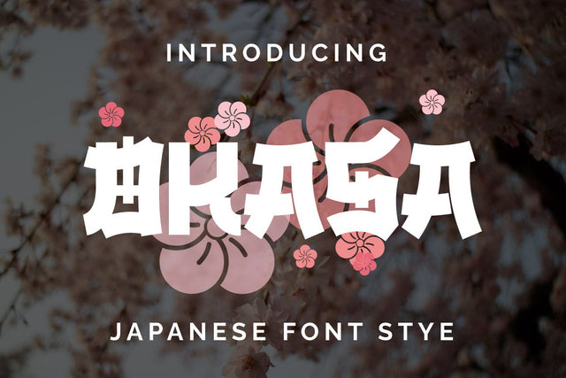 OKASA - Japanese style font Font twinletter 