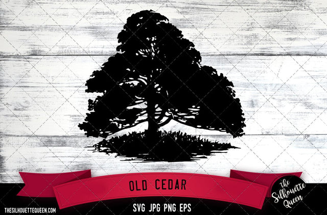 Old Cedar SVG -Vector Art Commercial & Personal Use- Cricut,Silhouette,Cameo,Vinyl Cut SVG Loveleen Kaur 