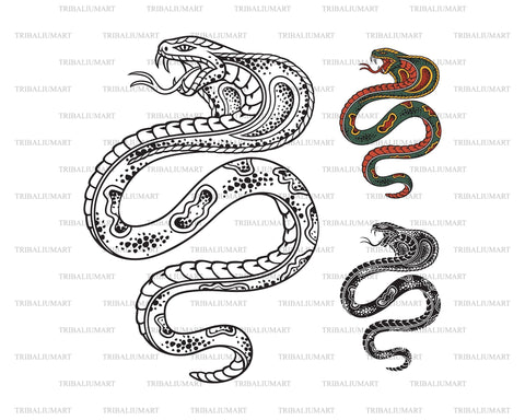 Old School Style Tattoo Cobra Snake SVG TribaliumArtSF 