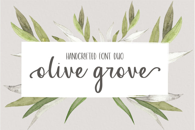 Olive Grove Font Sunday Nomad 
