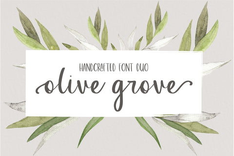 Olive Grove Font Sunday Nomad 