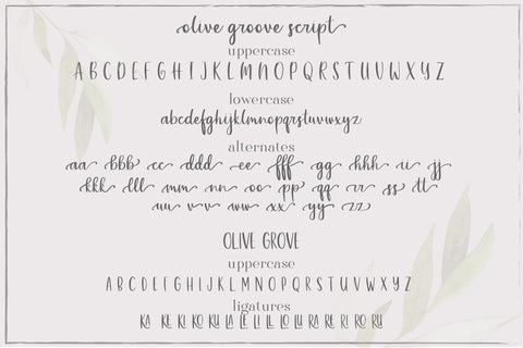 Olive Grove Font Sunday Nomad 