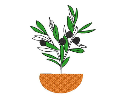 Olive Plant in a pot Machine Embroidery Design Embroidery/Applique DESIGNS Canada Embroidery 