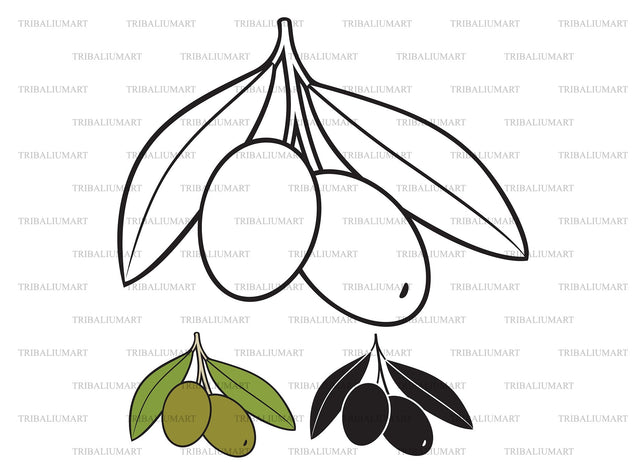 Olive SVG TribaliumArtSF 