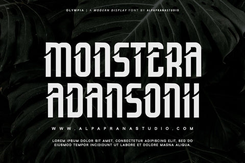 Olympia - Modern Display Font Font Alpaprana Studio 