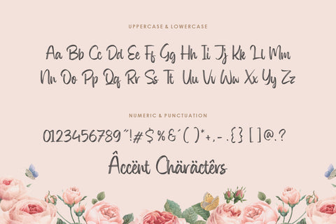 Olympica Modern Brush Font Font Balpirick 