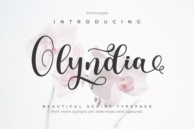 Olyndia Font yumnatype 
