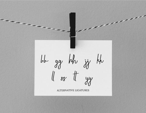 Omelette Script Signature Font inferno.studio3 