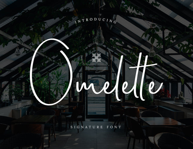 Omelette Script Signature Font inferno.studio3 