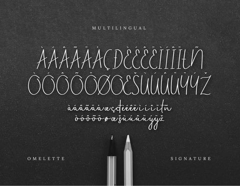 Omelette Script Signature Font inferno.studio3 