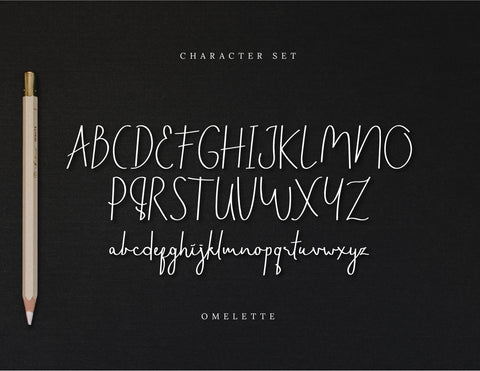 Omelette Script Signature Font inferno.studio3 