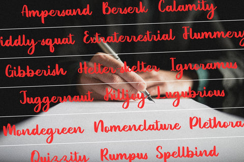 Omniface Font Allouse.Studio 