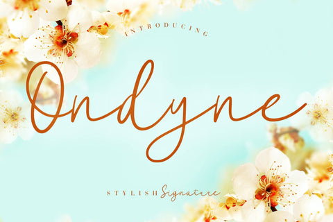 Ondyne Stylish Signature Font Creatype Studio 