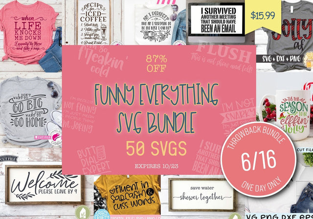 One Day Only Throwback: Funny Everything SVG Bundle Bundle So Fontsy Design Shop 