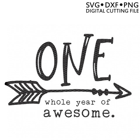 One Whole Year of Awesome Birthday SVG SVG So Fontsy Design Shop 