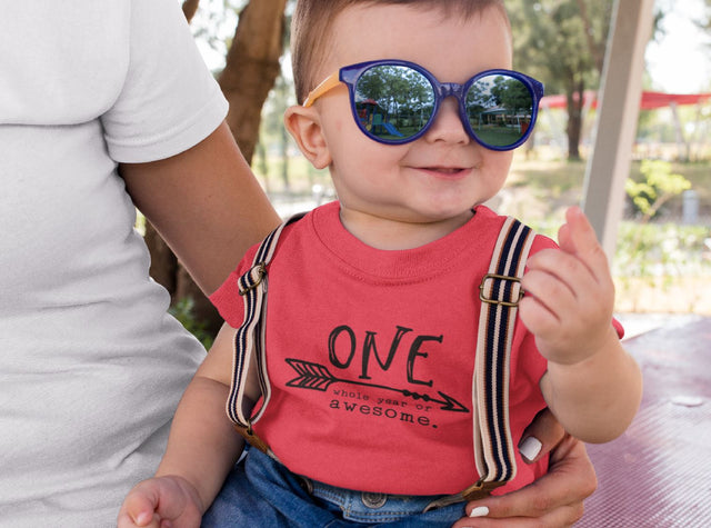 One Whole Year of Awesome Birthday SVG SVG So Fontsy Design Shop 