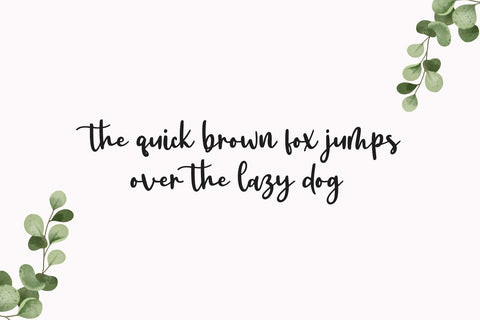 oneday Font letterbeary 