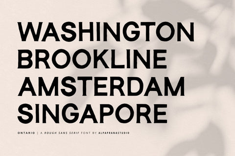 Ontario - Rough Sans Font Font Alpaprana Studio 