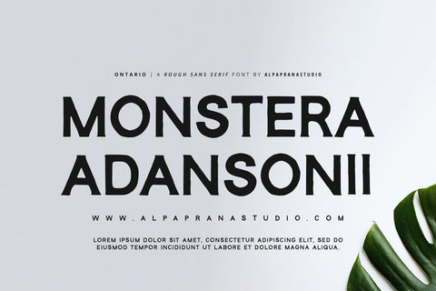 Ontario - Rough Sans Font Font Alpaprana Studio 