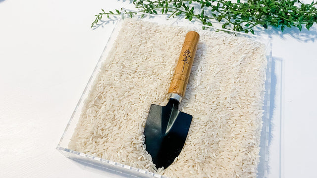 Open Box Laser PDF SVG So Fontsy Design Shop 