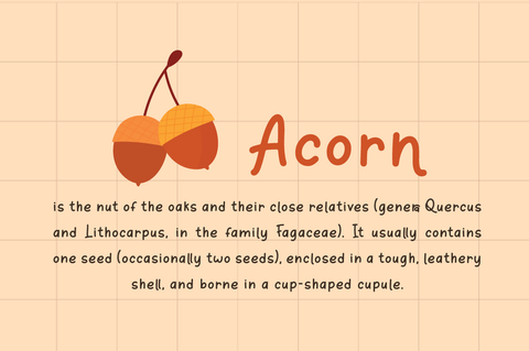 Orange Leafy - Display Font Font Attype studio 