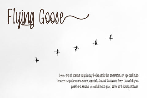 Oranjipen | Monoline Ink Style Script Font Font Katario Studio 