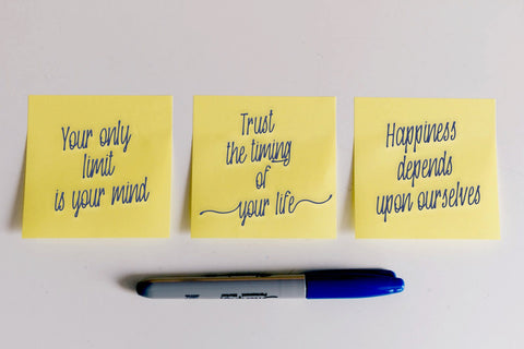 Oranjipen | Monoline Ink Style Script Font Font Katario Studio 