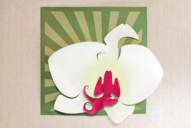 Orchid Art SVG Risa Rocks It 