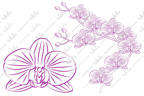 Orchid Clipart Cut File PNG SVG EPS DXF PDF SVG nikola 