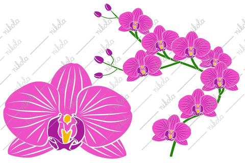 Orchid Clipart Cut File PNG SVG EPS DXF PDF SVG nikola 