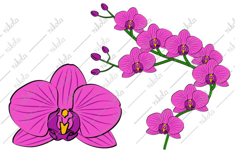 Orchid Clipart Cut File PNG SVG EPS DXF PDF SVG nikola 