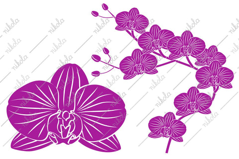 Orchid Clipart Cut File PNG SVG EPS DXF PDF SVG nikola 