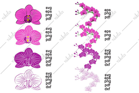 Orchid Clipart Cut File PNG SVG EPS DXF PDF SVG nikola 