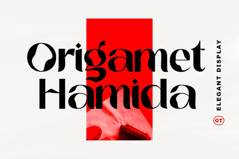 Origamet Hamida Font gatype 