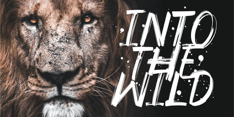 Orleymore Font Allouse.Studio 