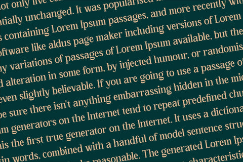 ORTUSELA Typeface Font Storytype Studio 