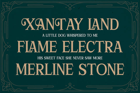 ORTUSELA Typeface Font Storytype Studio 