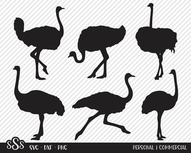 Ostrich Bundle | Outdoor SVG SVG Texas Southern Cuts 
