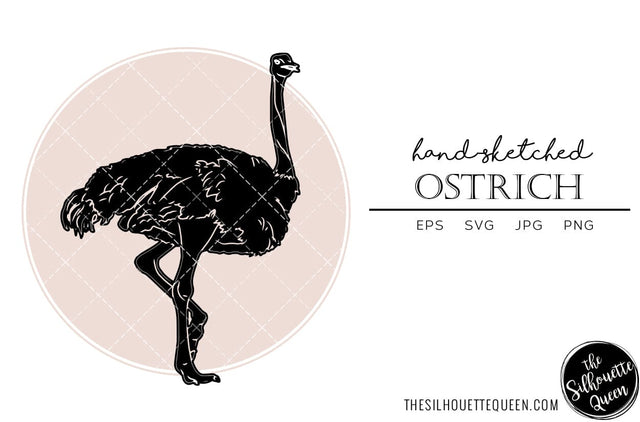 Ostrich Sketch Vector SVG Loveleen Kaur 
