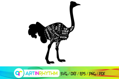 ostrich svg, butcher svg, meat cut, meat chart SVG Artinrhythm shop 